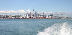 Auckland Skyline