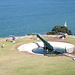 8" Disappearing Gun