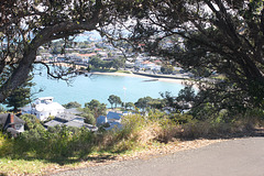 View through the Trees