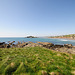 Am Meer (bei Burgh Island) - Devon - 120328