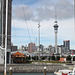 Sky Tower from the Harbour