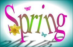 spring ✿