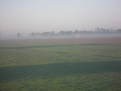 Campagne padouane.