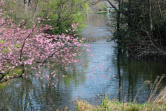 St. James's Park - London - 120324