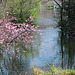 St. James's Park - London - 120324