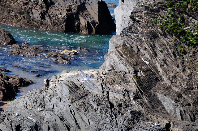 Am Meer - Devon - 120328