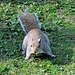 St. James's Park - London - 120324