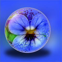 flower globe 3