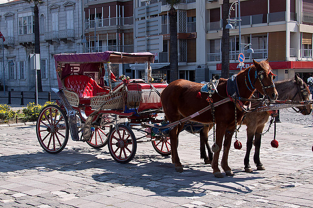 20120316 7819RAw [TR] Pferdekutsche, Izmir, Türkei