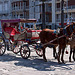 20120316 7819RAw [TR] Pferdekutsche, Izmir, Türkei