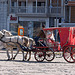20120316 7814RAw [TR] Pferdekutsche, Izmir, Türkei