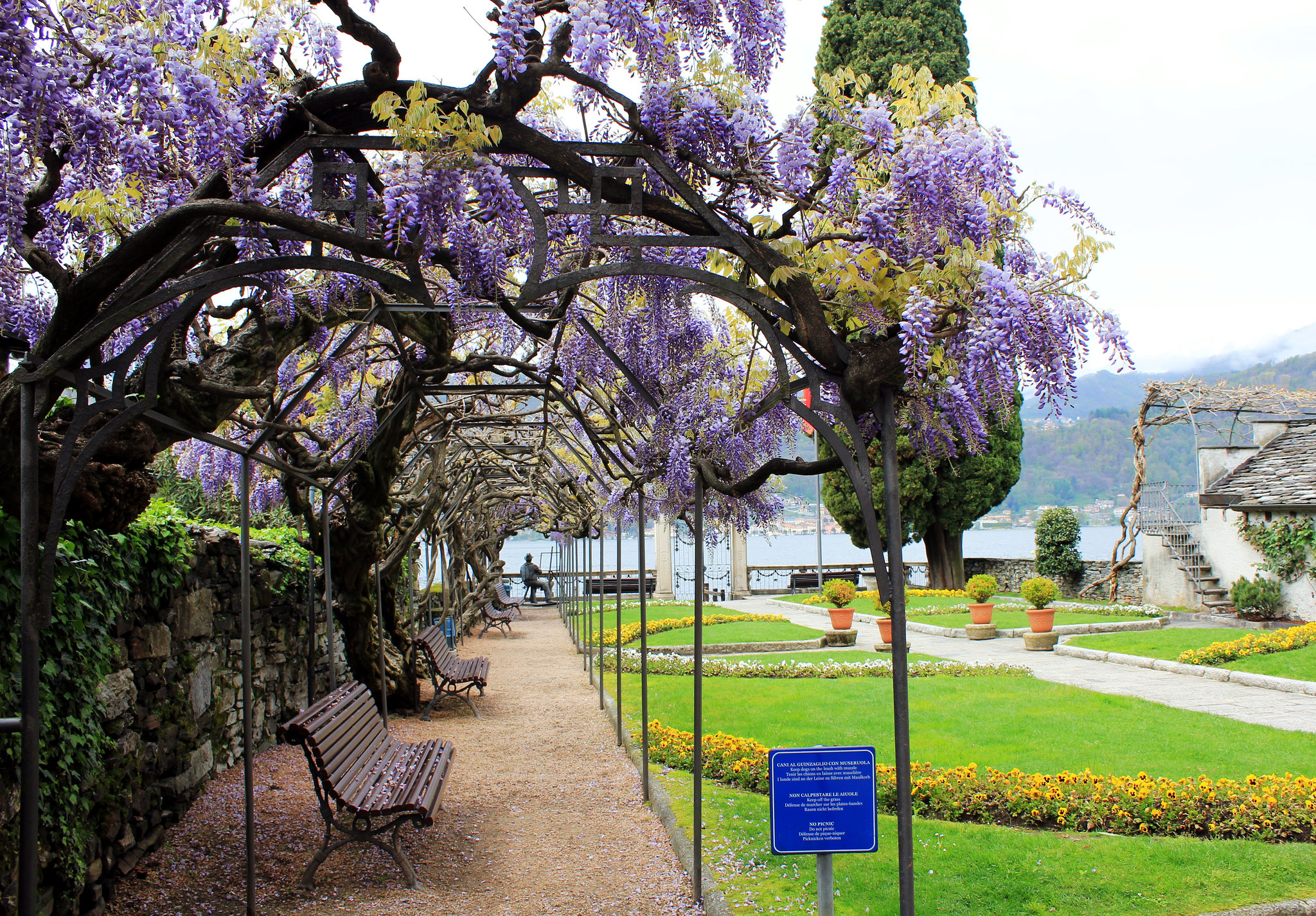 Orta