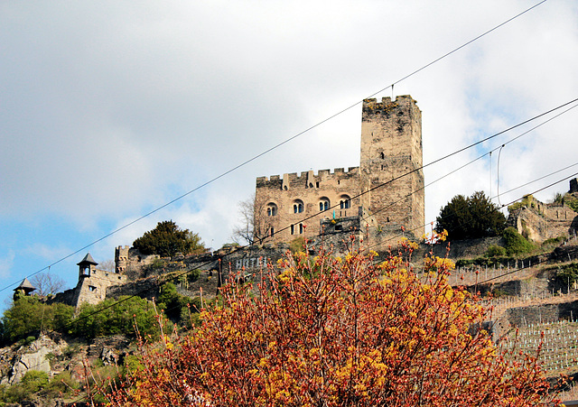 Burg Gutenfels am Rhein