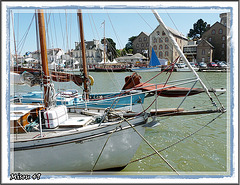 la fête des vieilles coques