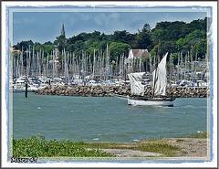 la fête des vieilles coques