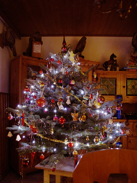 Weihnachtsbaum