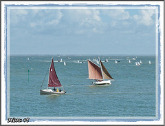 la fête des vieilles coques