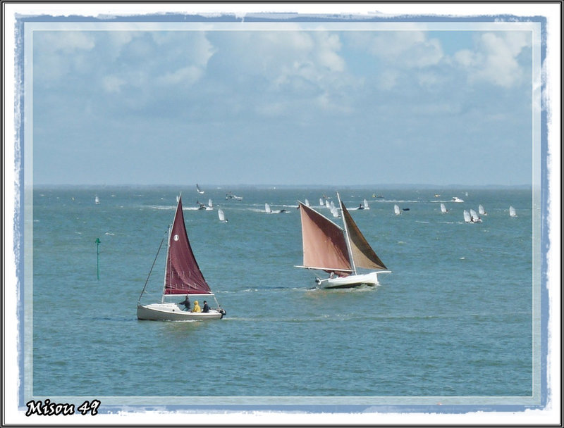 la fête des vieilles coques