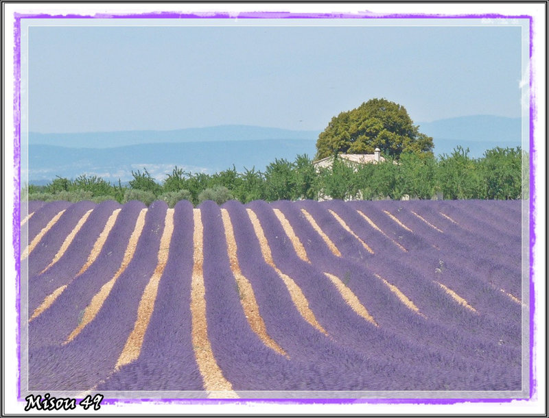 plateau de VALENSOLE