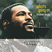 That's The Way Love You- Marvin Gaye