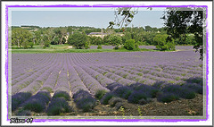 plateau de VALENSOLE