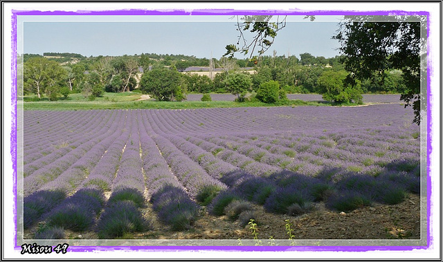 plateau de VALENSOLE