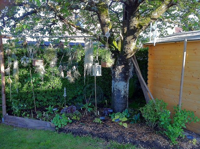 Fond de jardin