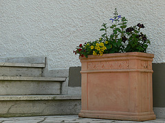 Blumenkasten