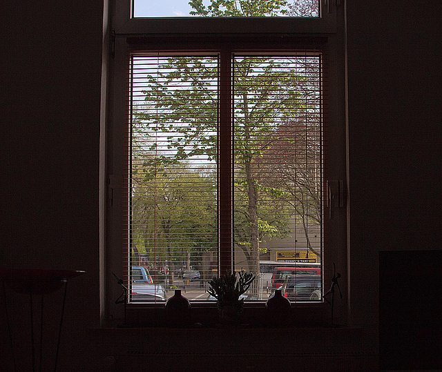 20120428 8805RAw [OB] Fenster