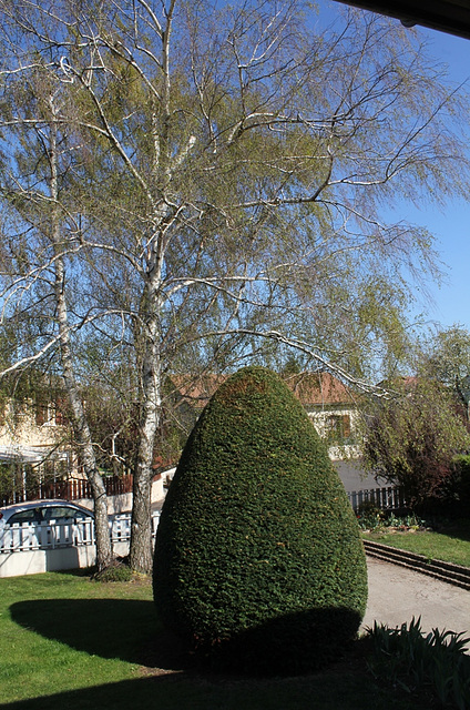 Jardin - If