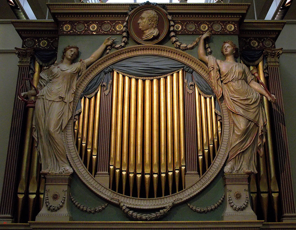Organ