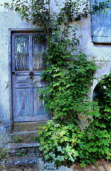 DOUCEUR*** DOUCEUR***