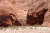 Rainbow Bridge National Monument (4759)