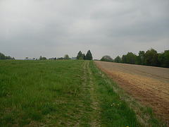 Panoramaweg