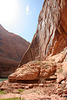 Rainbow Bridge National Monument (4808)