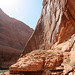 Rainbow Bridge National Monument (4808)