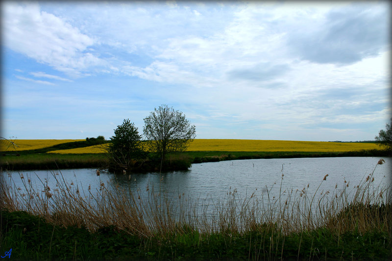 UN COIN POUR LA PECHE ***