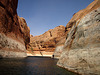 Rainbow Bridge National Monument (2366)