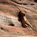 Rainbow Bridge National Monument (2367)