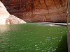 Rainbow Bridge National Monument (2380)