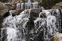 20120414 8607RAw Wasserfall, Gruga-Park