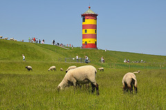 Leuchtturm Pilsum