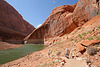 Rainbow Bridge National Monument (4811)