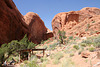 Rainbow Bridge National Monument (4826)