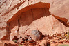 Rainbow Bridge National Monument (4844)