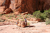 Rainbow Bridge National Monument (4850)