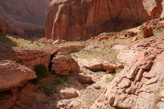 Rainbow Bridge National Monument (4869)