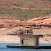 Lake Powell - Floating Dump Station (4526)