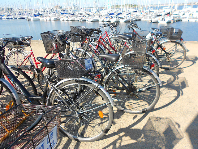 tous à vélos,,,