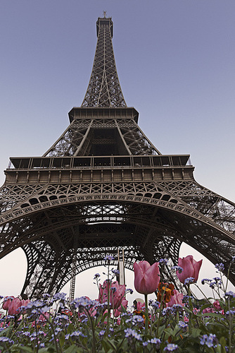 tower flower